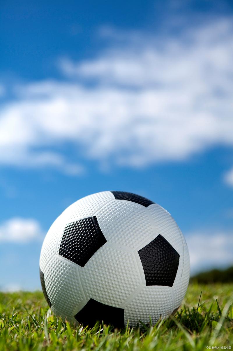 免费寄生虫站群